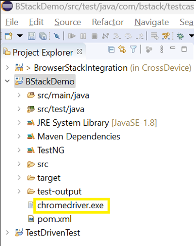 chromedriver path chromedriver path