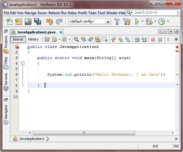 java program using netbean