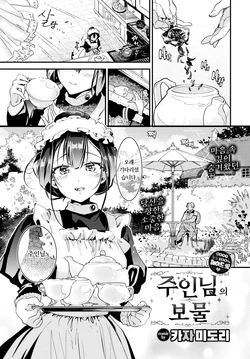 [Kaza Midori] Goshujin-sama no Takaramono (COMIC BAVEL 2024-11) [Korean] [Decensored] [Digital]