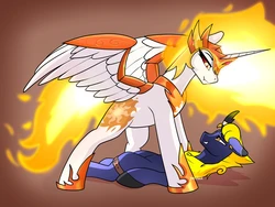 THEUSER / THE_USER_001 - X