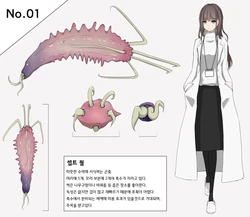 [gura] Insect Research Report