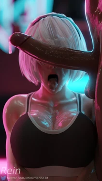 Reinamation3D 2024-2025