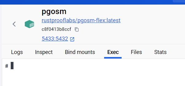 Screenshot showing the "exec" tab ready for a command to run